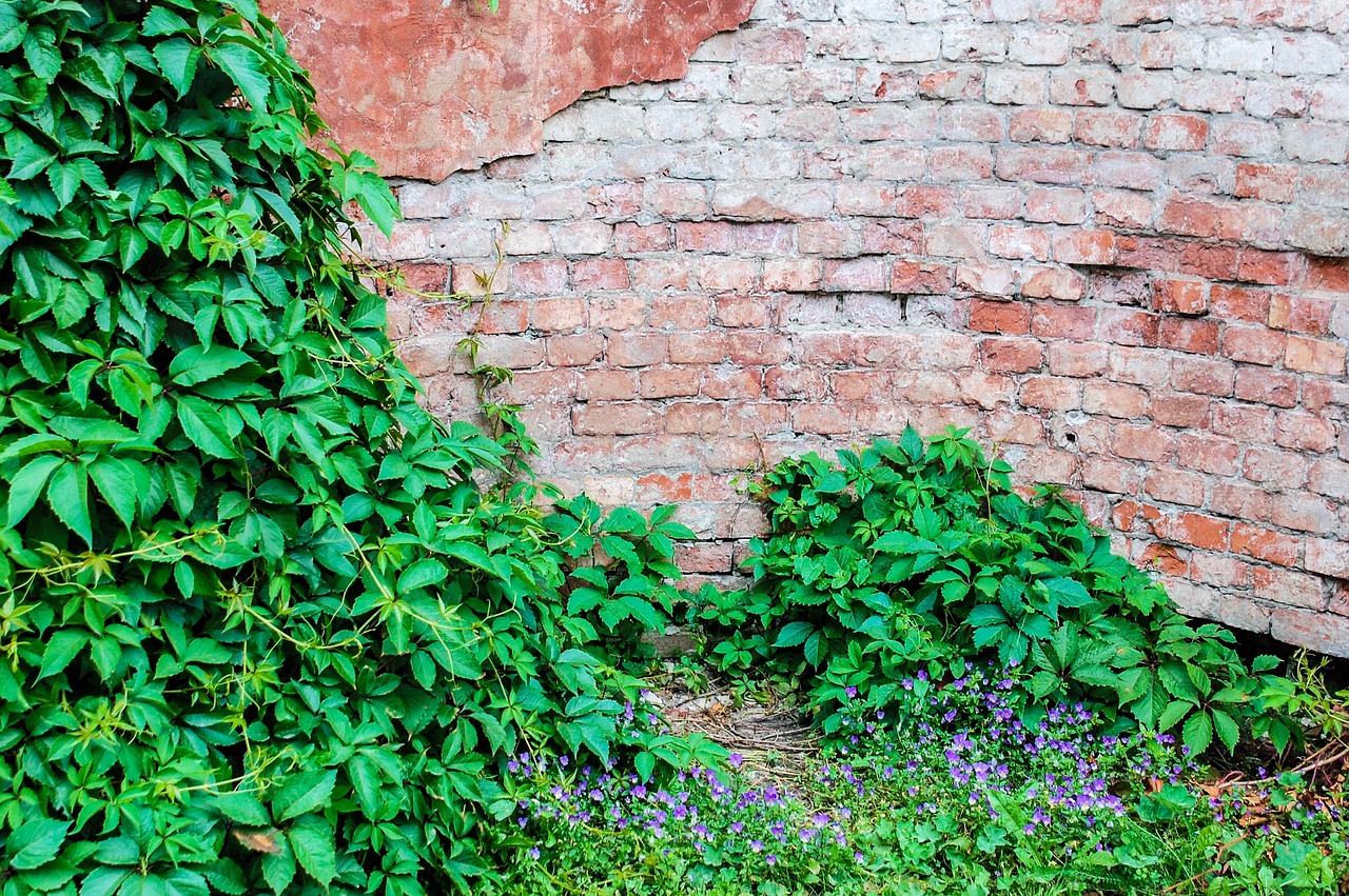 réparation de fissures dans les murs : solutions efficaces pour restaurer la solidité et l'esthétique de vos murs rapidement et durablement.