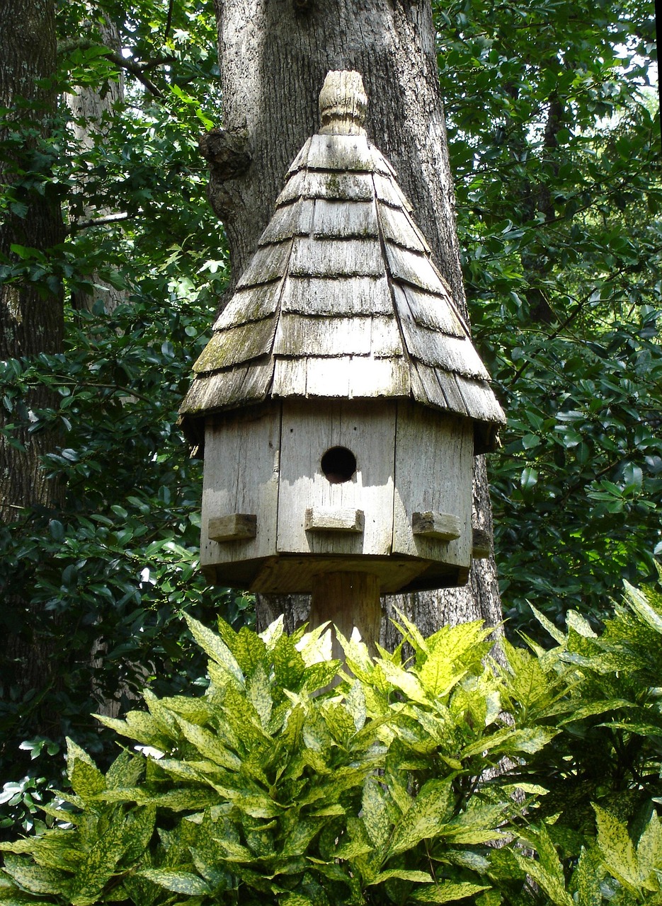 découvrez tout sur les birdhouses : astuces de fabrication, idées déco et conseils pour attirer les oiseaux dans votre jardin.