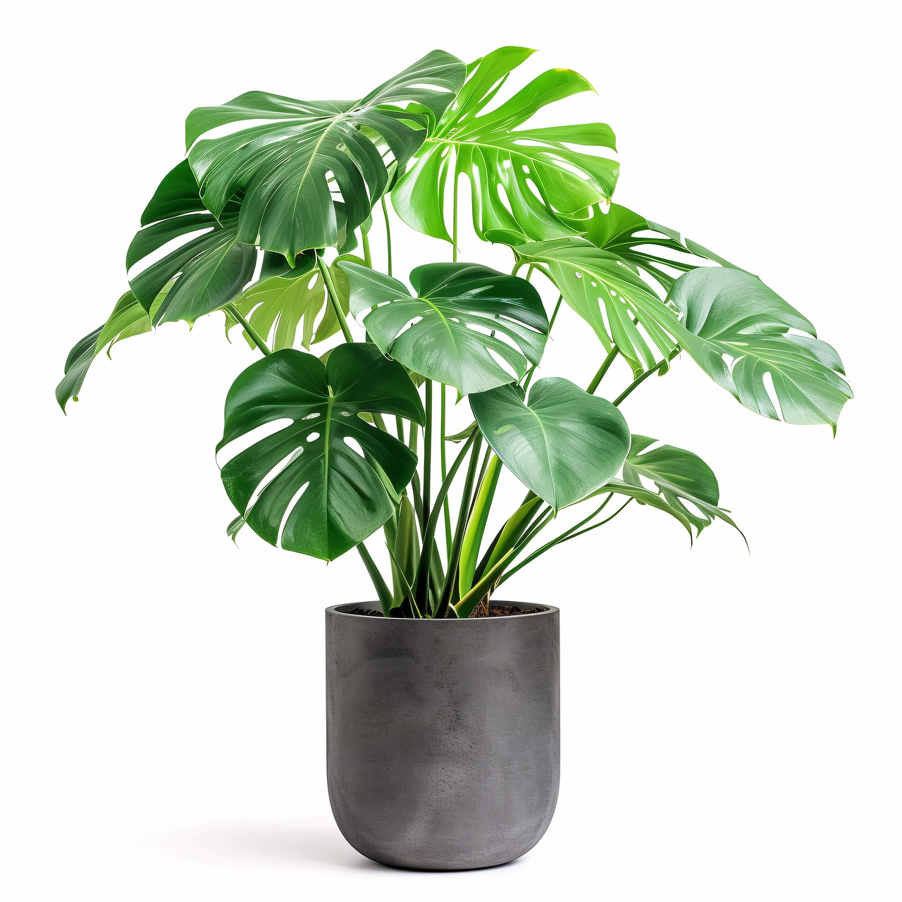 découvrez notre collection de bacs et jardinières en béton, parfaits pour sublimer vos plantes en intérieur comme en extérieur. robustes et élégants, nos pots en béton allient style moderne et durabilité pour un aménagement unique de vos espaces.