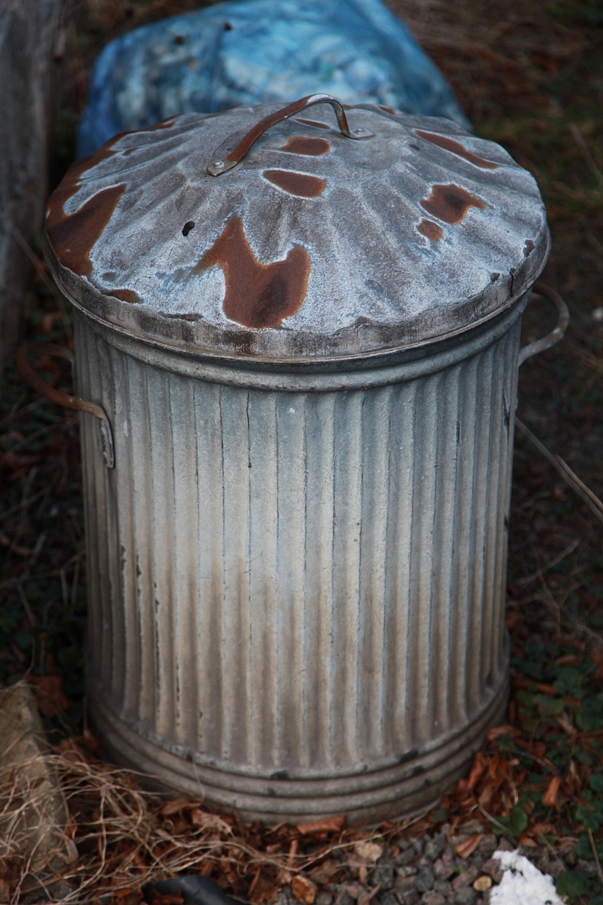 découvrez comment choisir et utiliser un compost bin pour transformer vos déchets organiques en compost naturel, enrichir votre jardin et adopter un mode de vie écologique facilement.