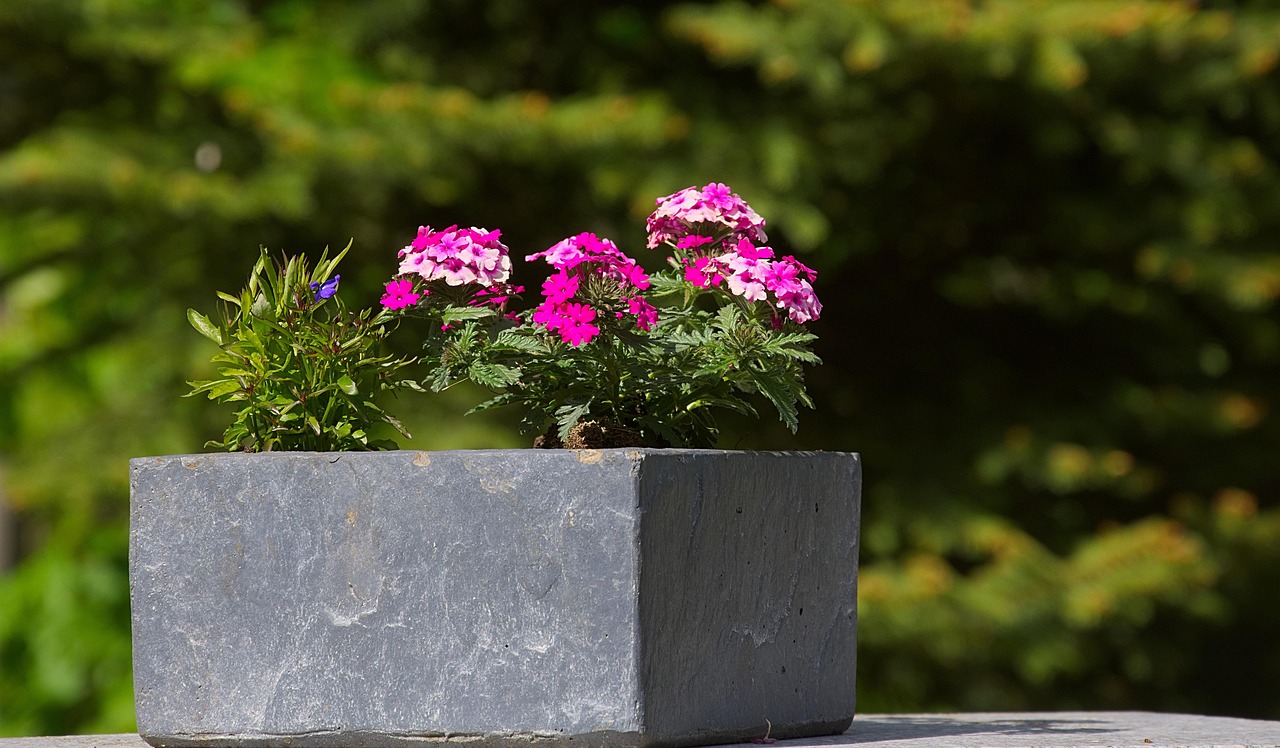 DIY : Fabriquer une jardinière en béton