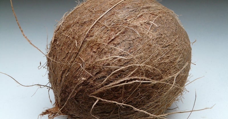 Toile en fibre de coco : l'alternative naturelle et durable qui séduit les jardiniers