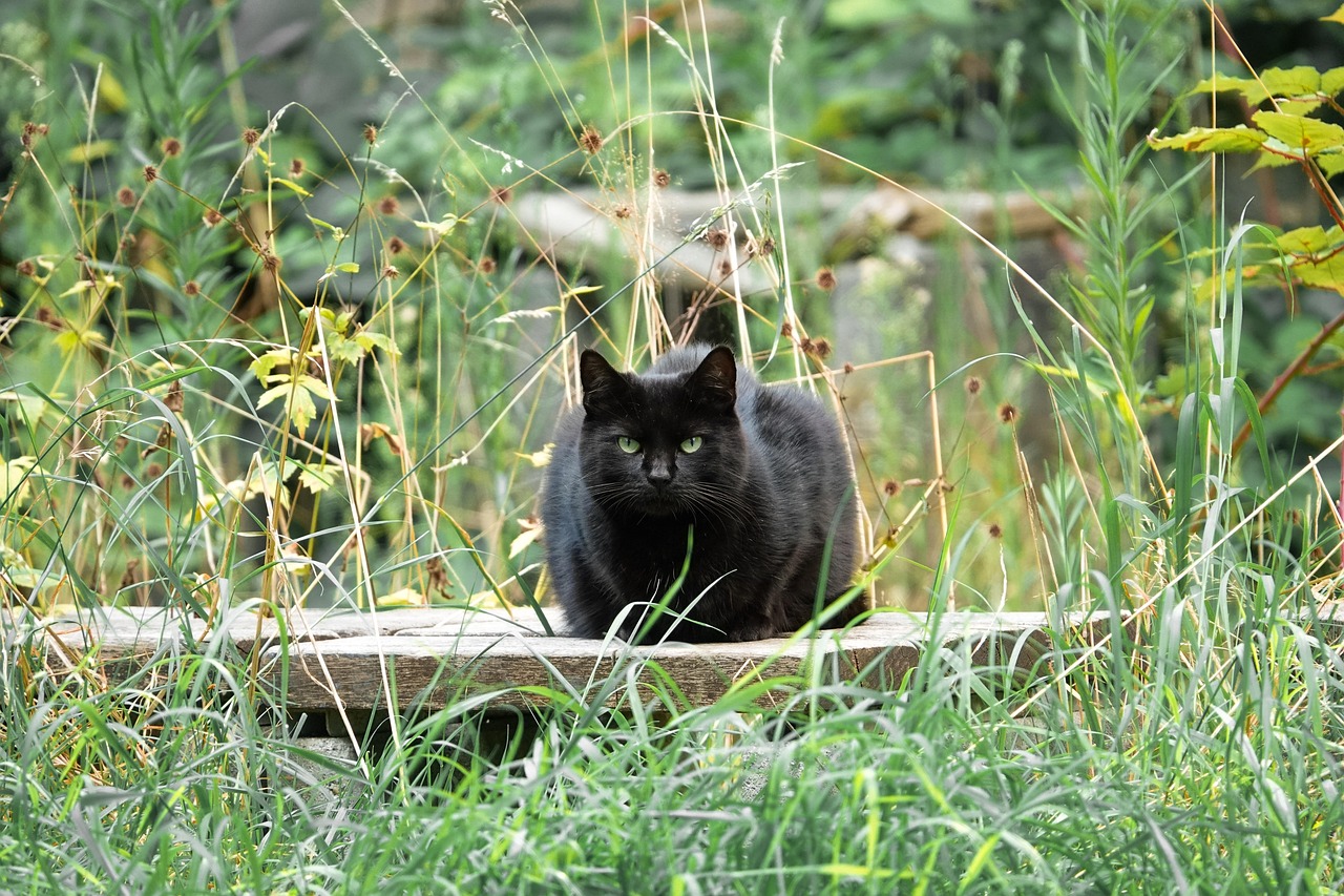 Fabriquer un banc de jardin avec des rondins de bois